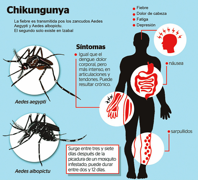 Questo è l'Inizio della Fine Cuadro2-chikungunya